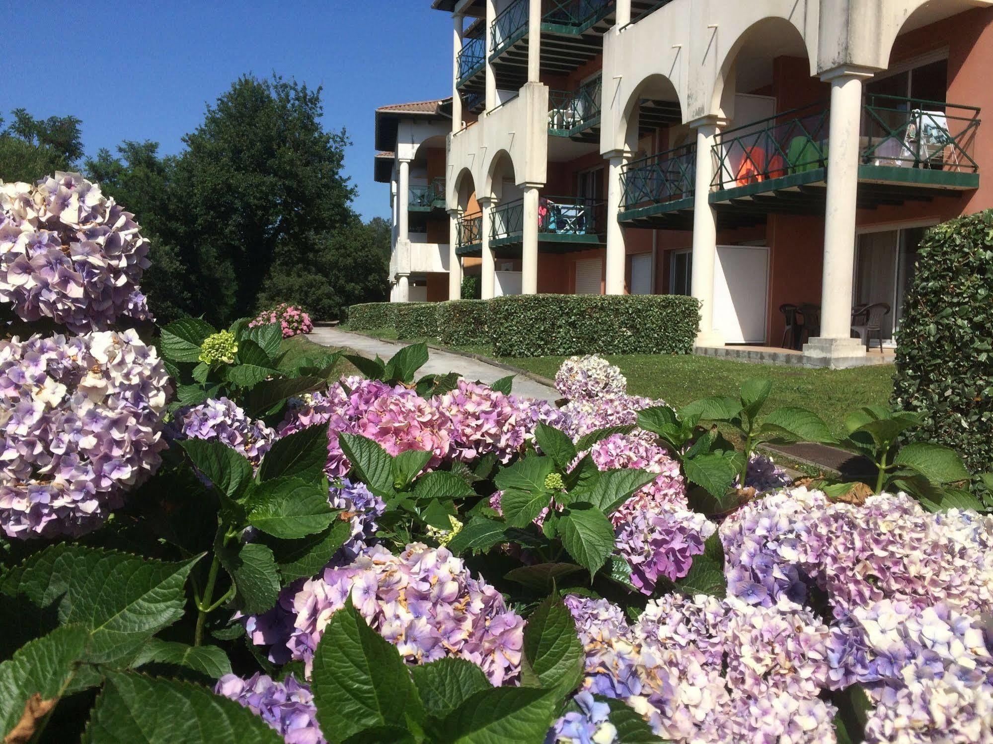 Aparthotel & Golf Soko-eder